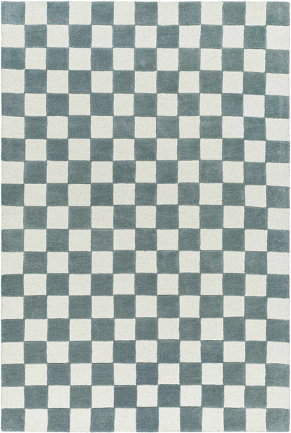Timin Blue Gray Checkered Area Rug - Clearance