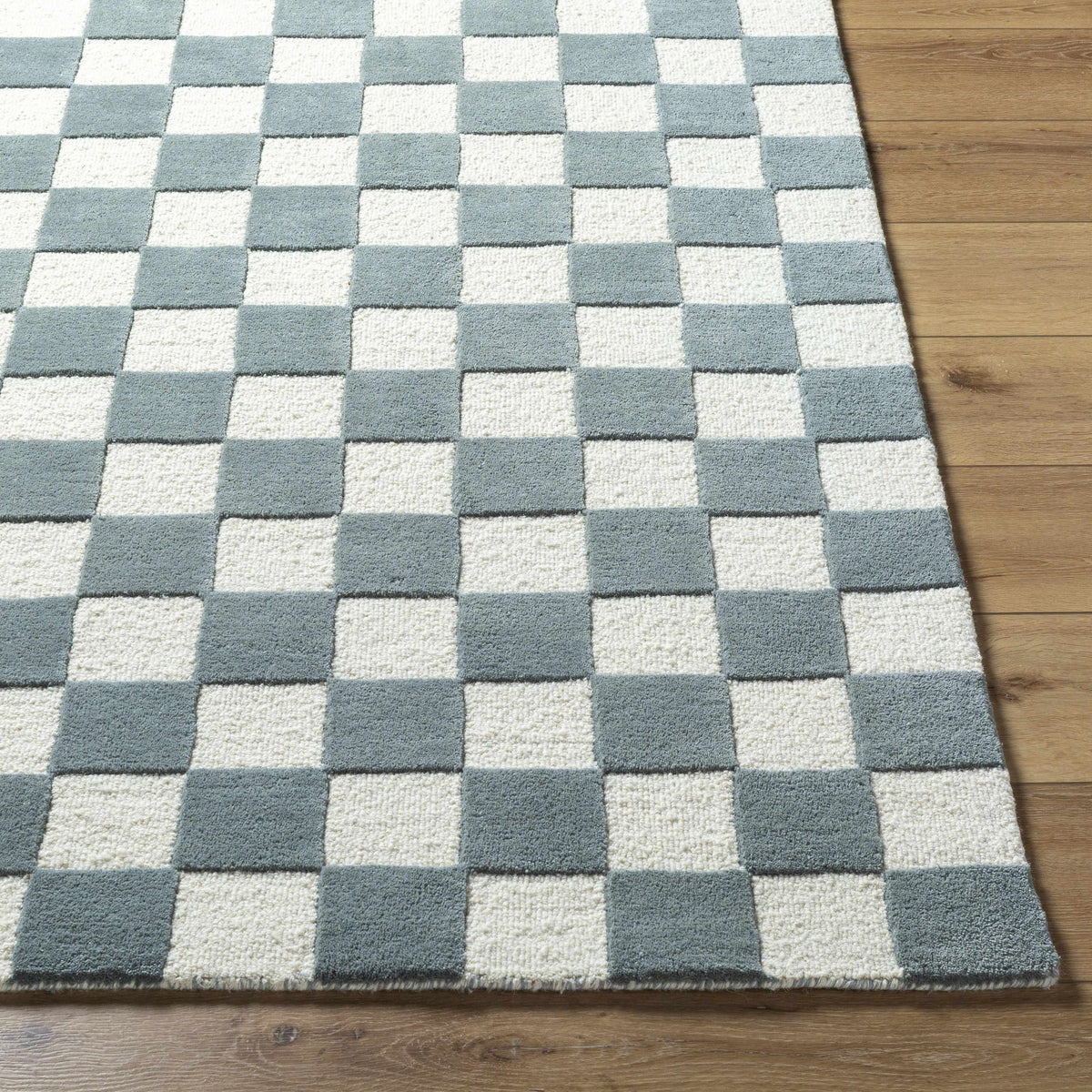 Timin Blue Gray Checkered Area Rug - Clearance