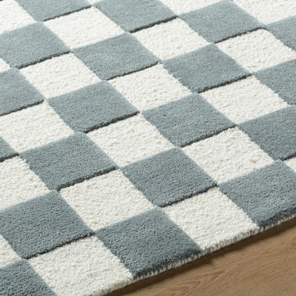 Timin Blue Gray Checkered Area Rug - Clearance