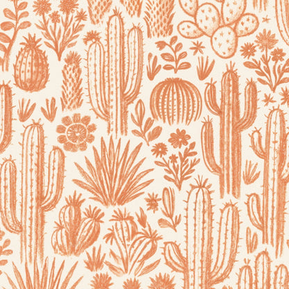 Ocotillo Wallpaper