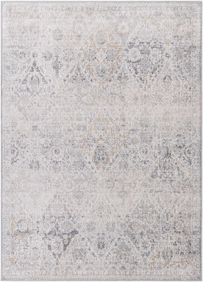 Totsi Area Rug - Clearance