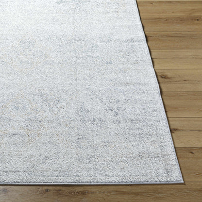 Totsi Area Rug - Clearance