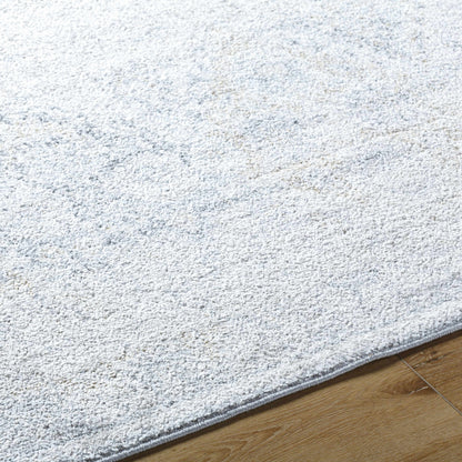 Totsi Area Rug - Clearance