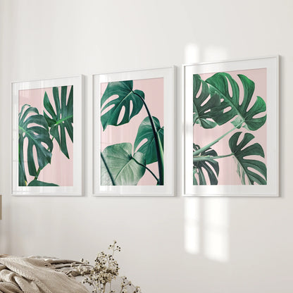 Pink Botanical 3 Piece Wall Art. Green Monstera Leaves Print