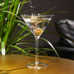 Reserve Milo Crystal Martini Glasses By Viski (set of 4)