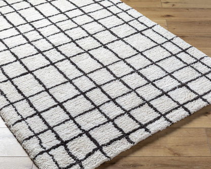 Yaotl Area Rug - Clearance