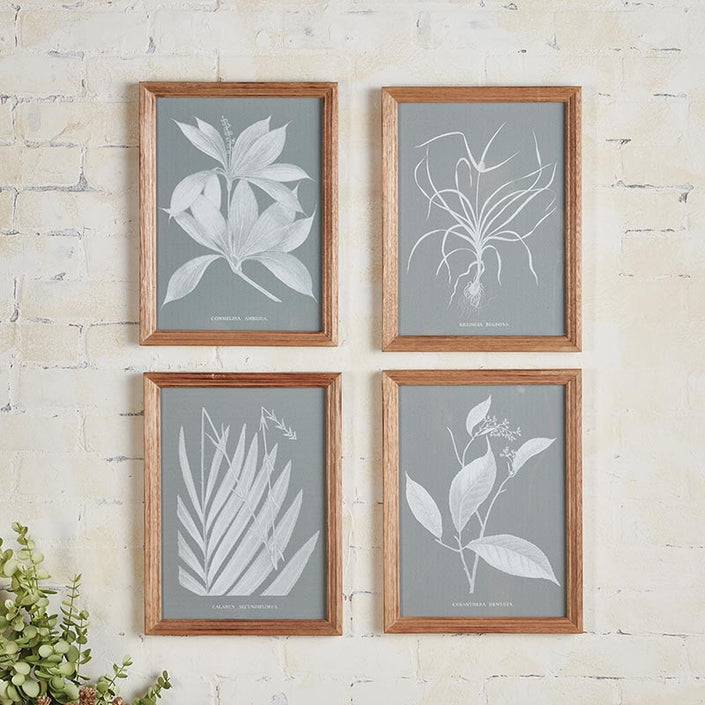 Framed Painting - Leaves - Set of 4