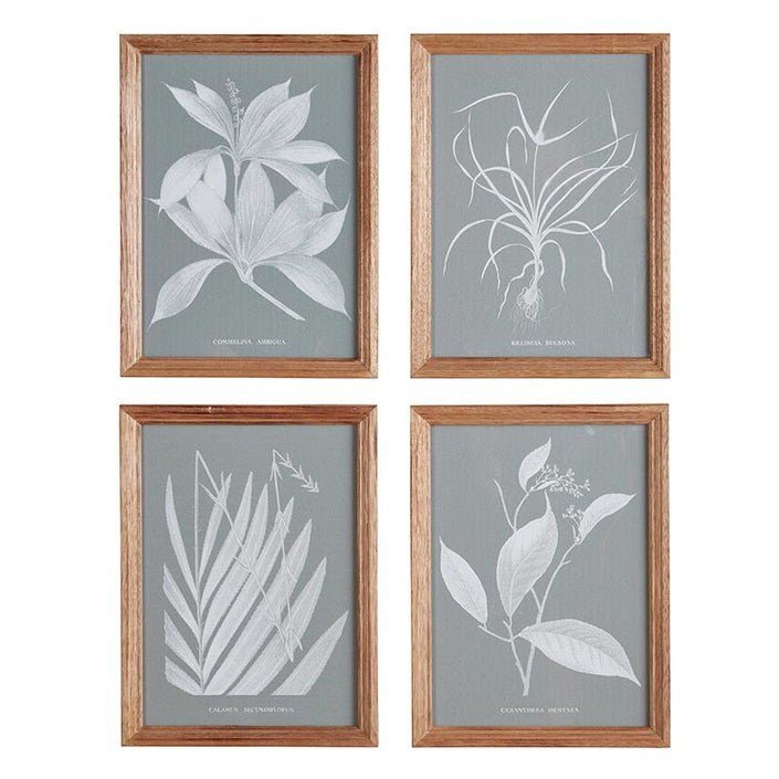 Framed Painting - Leaves - Set of 4